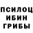 Галлюциногенные грибы мицелий CosmicSoup