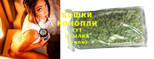 мдпв Горнозаводск