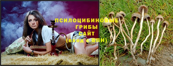 мдпв Горнозаводск